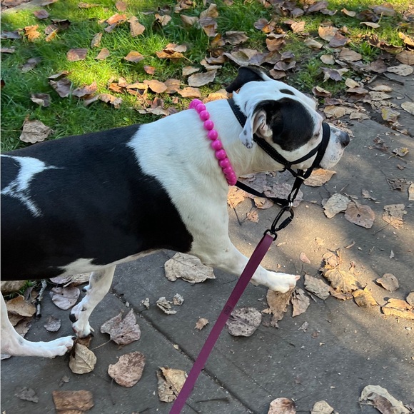 Handcrafted Beaded Dog Collar - Beatrice - Pink Collar - Picture 3 of 11